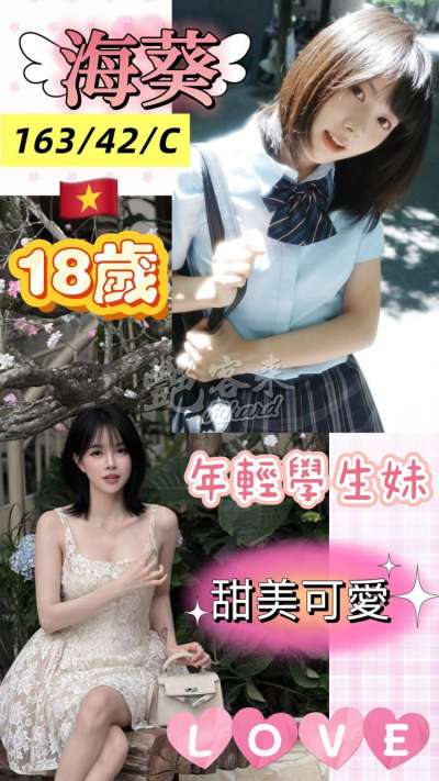 海葵