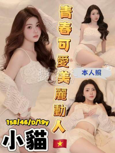 小貓