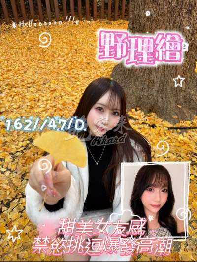 野理繪